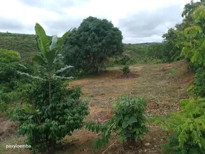 Terrain Vide À Vendre Avec Étant