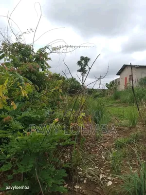 Terrain Vide À Vendre Avec Étant