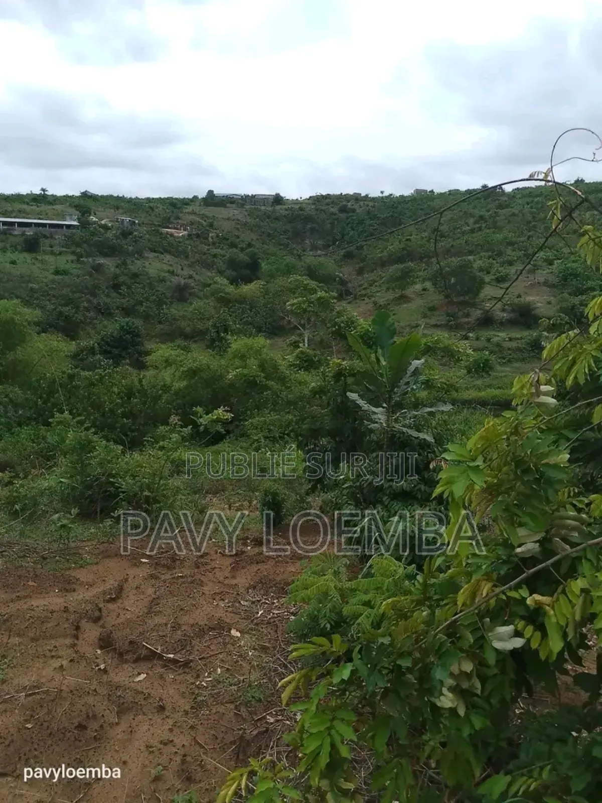 Terrain Vide À Vendre Avec Étant