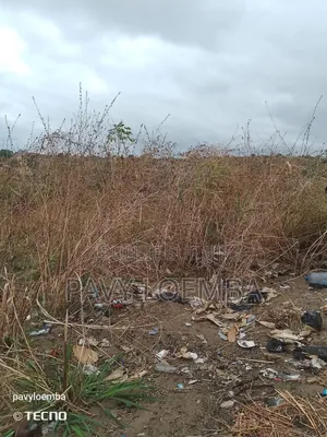 Terrain Vide À Vendre