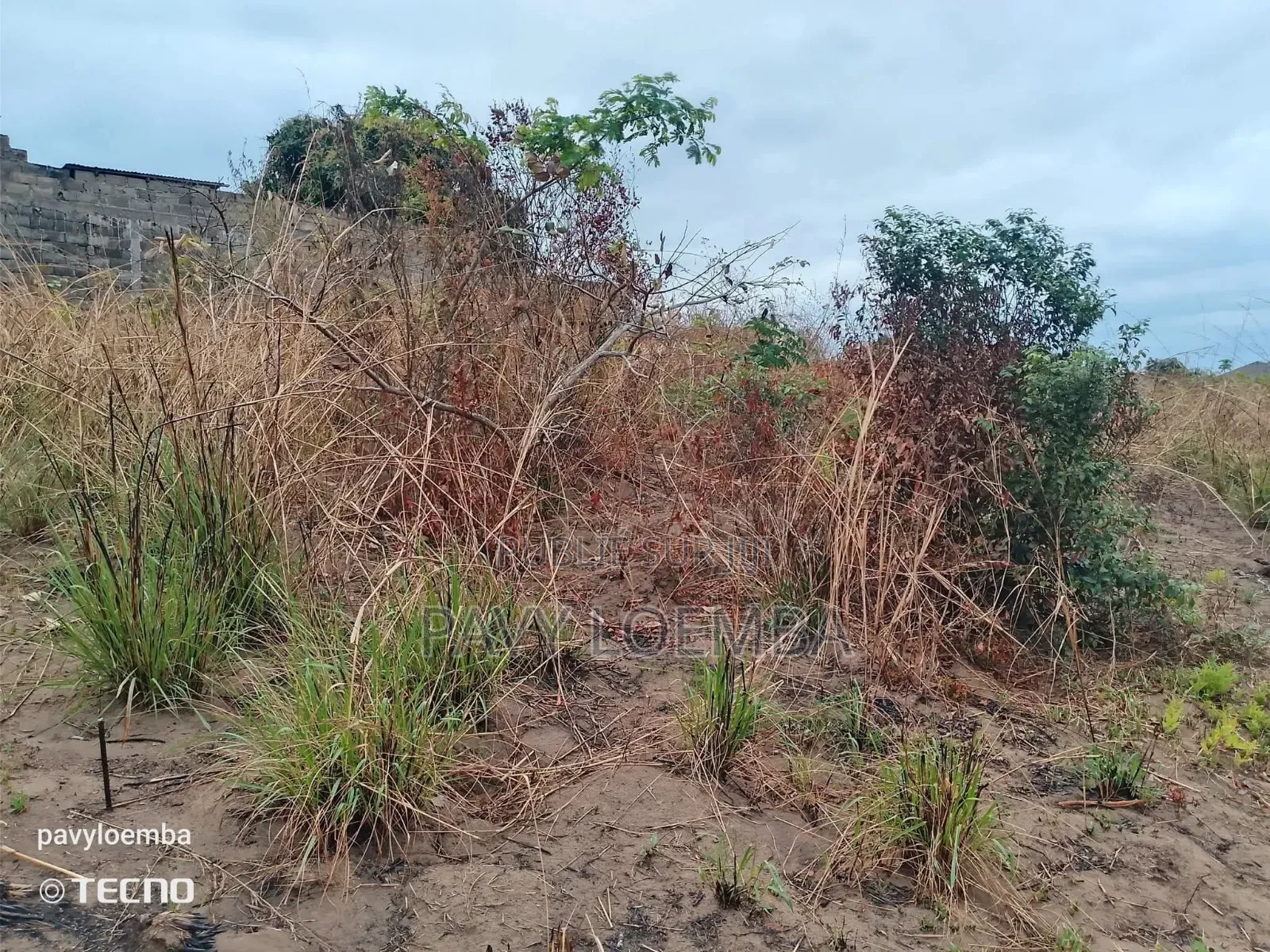 Terrain Vide À Vendre