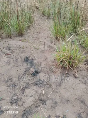 Terrain Vide À Vendre