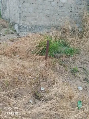 Terrain Vide À Vendre