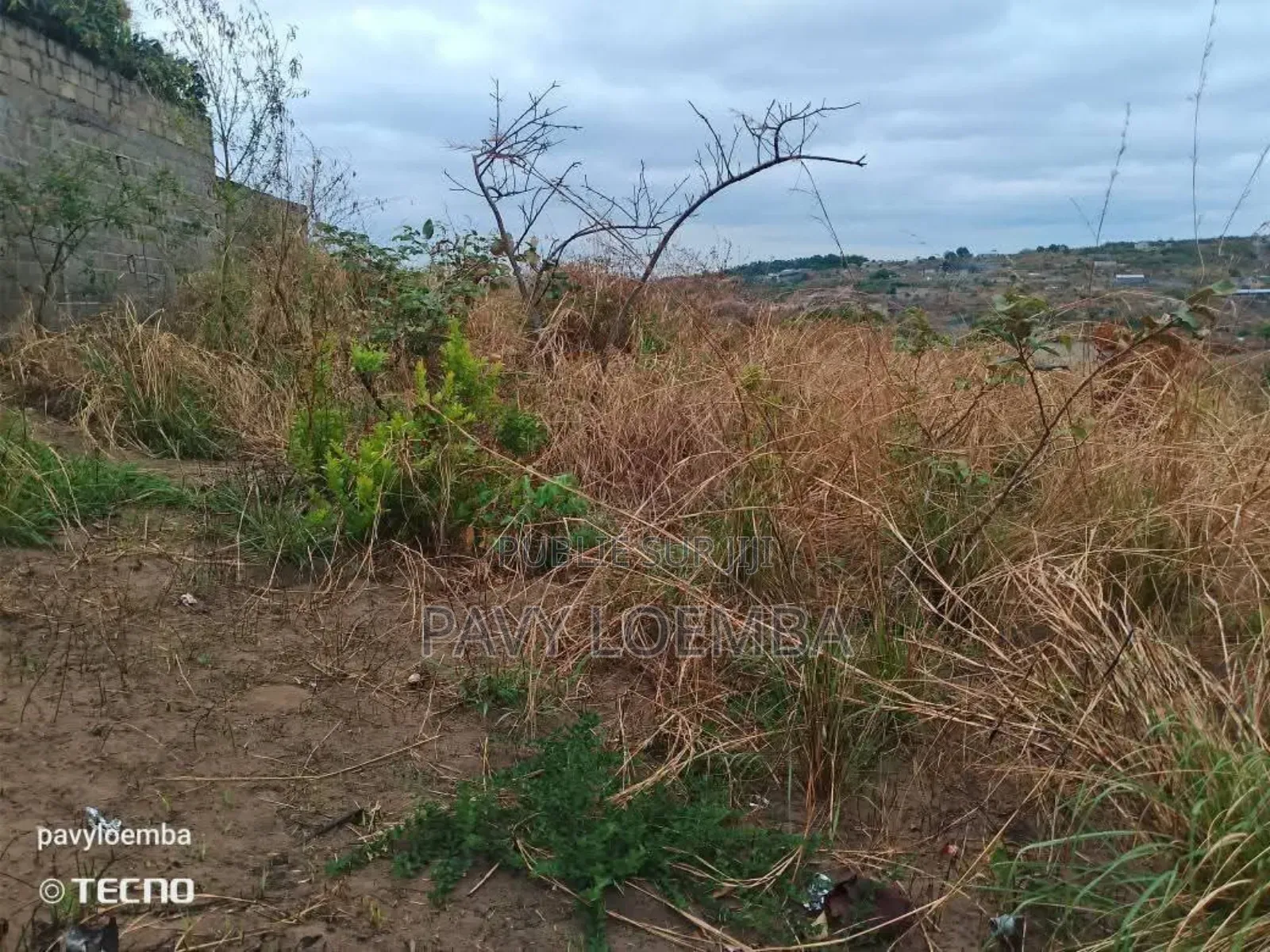 Terrain Vide À Vendre