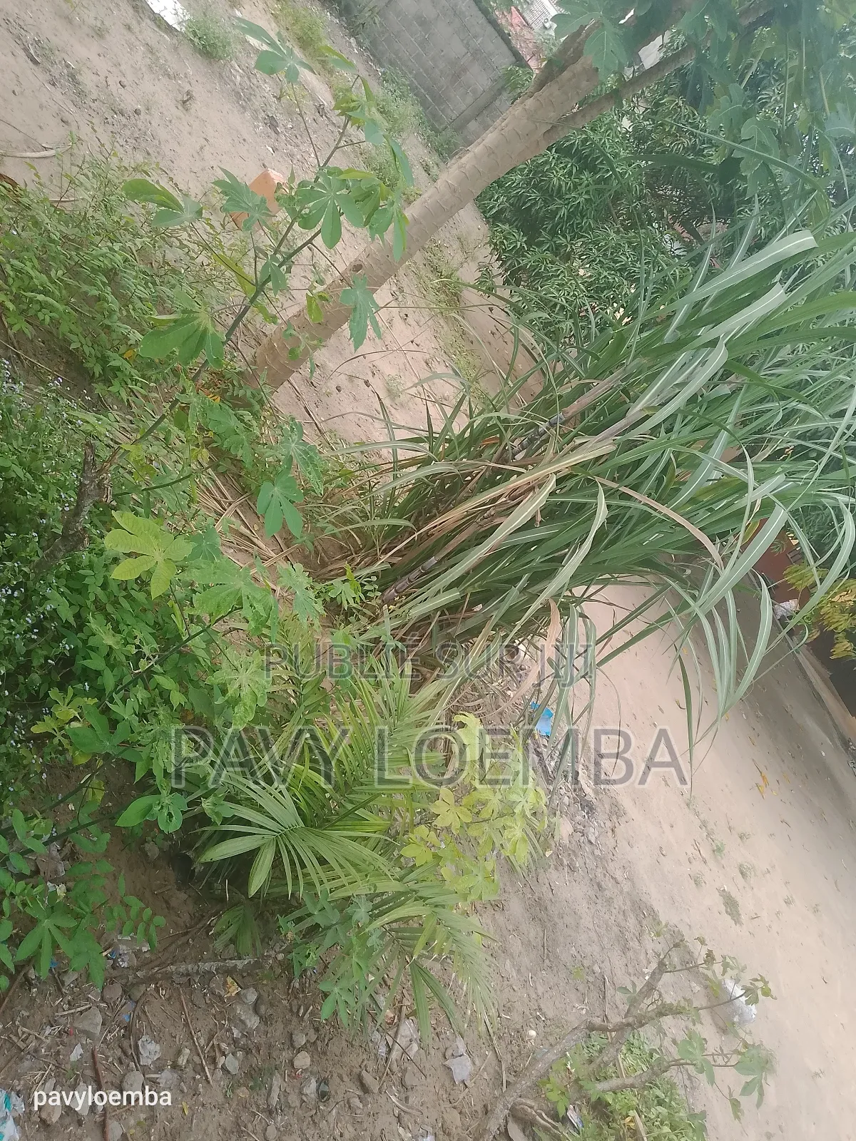 Terrain Vide À Vendre Clôturer