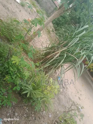 Terrain Vide À Vendre Clôturer