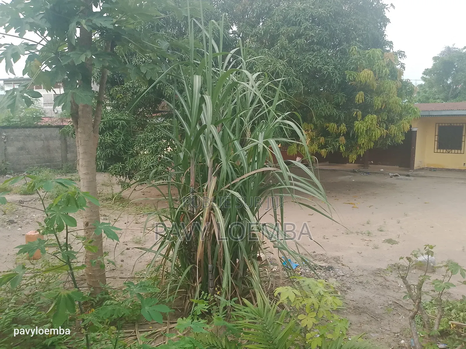 Terrain Vide À Vendre Clôturer