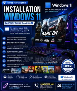 Windows 11