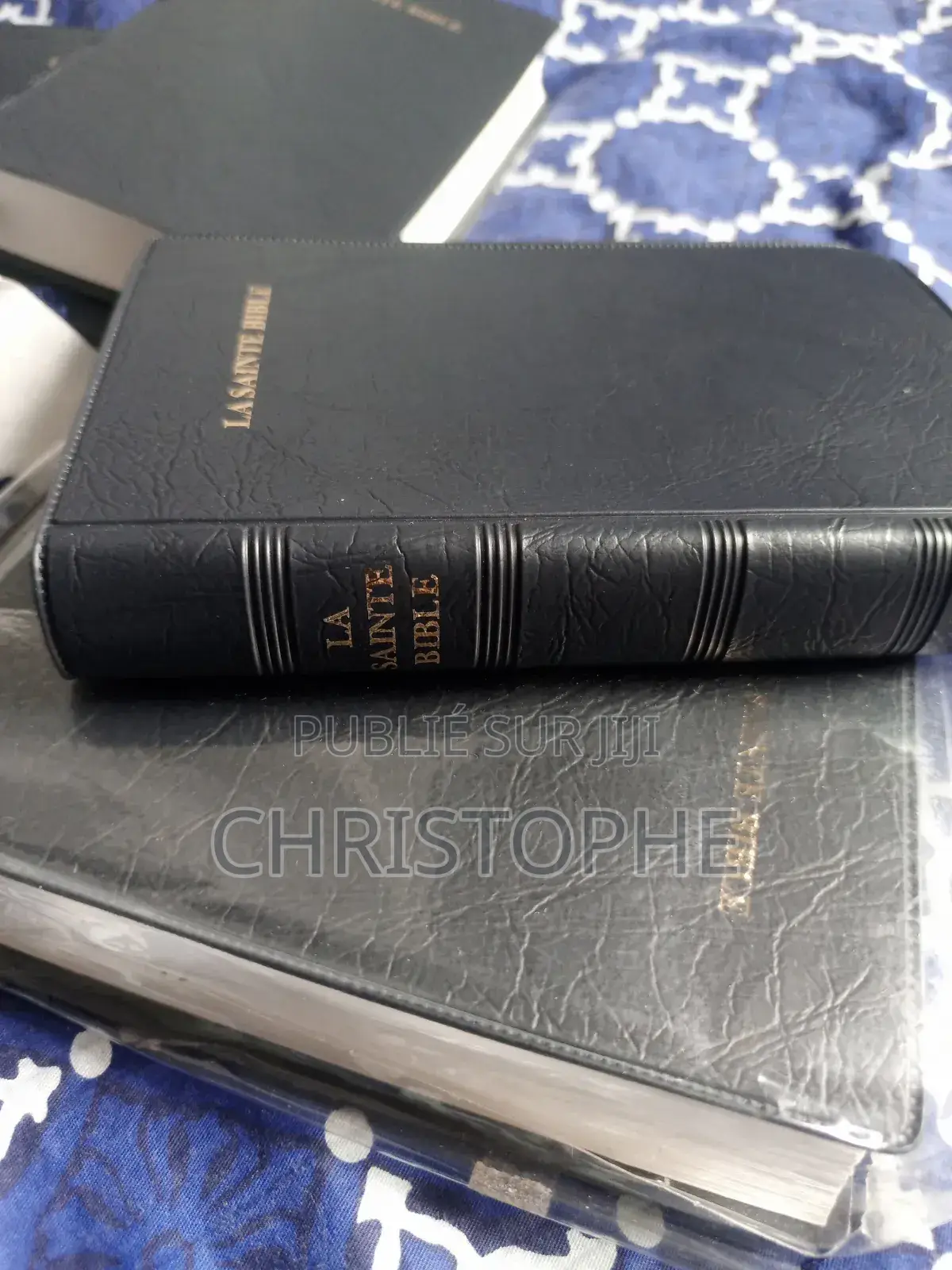 LA SAINTE BIBLE, Version Louis Segon