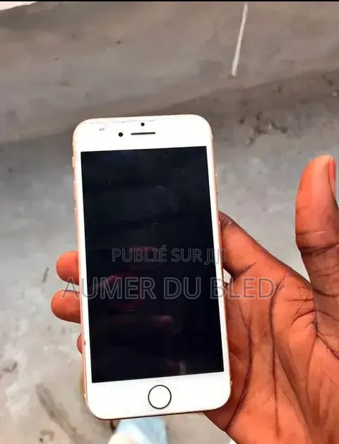 Apple iPhone 8 256 GB Autre