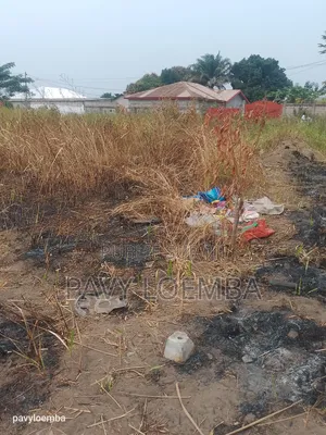 Terrain Vide