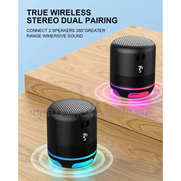 Mini Speaker