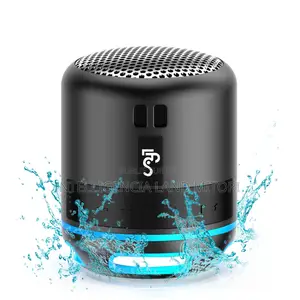Mini Speaker