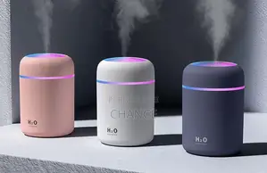 Diffuseur De Parfum Maison