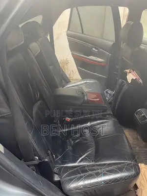 Lexus RX 350 4x4 2009 Gris