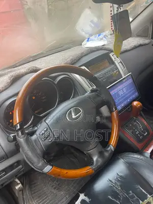 Lexus RX 350 4x4 2009 Gris