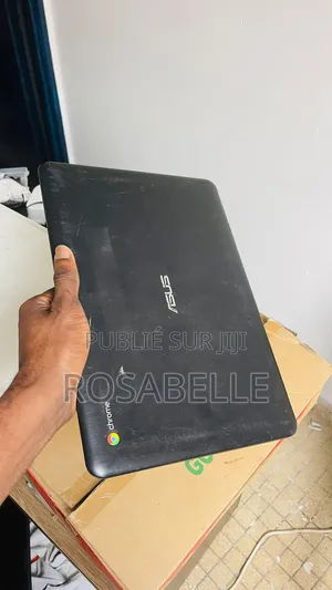 Ordinateur portable Asus Chromebook C200 4GB Intel eMMC 32GB
