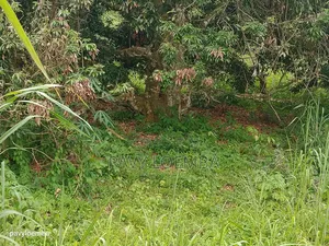 Terrain Vide À Vendre