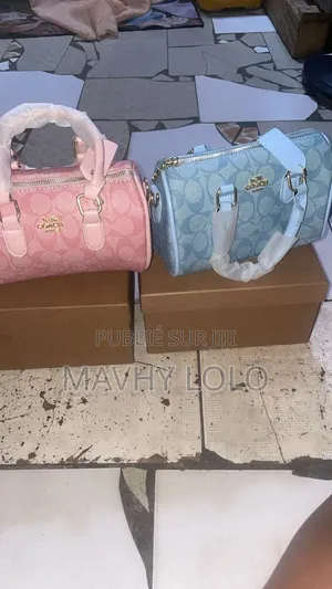 Sac Coach Et Sac Alo Et Sandalles Hermès a Vendre