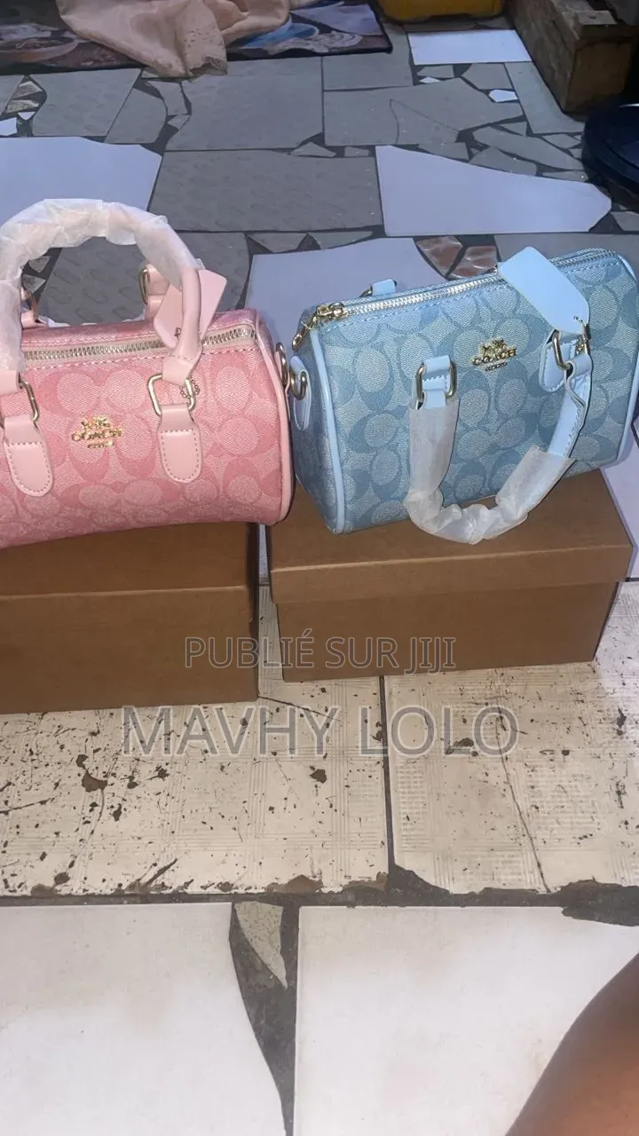 Sac Coach Et Sac Alo Et Sandalles Hermès a Vendre