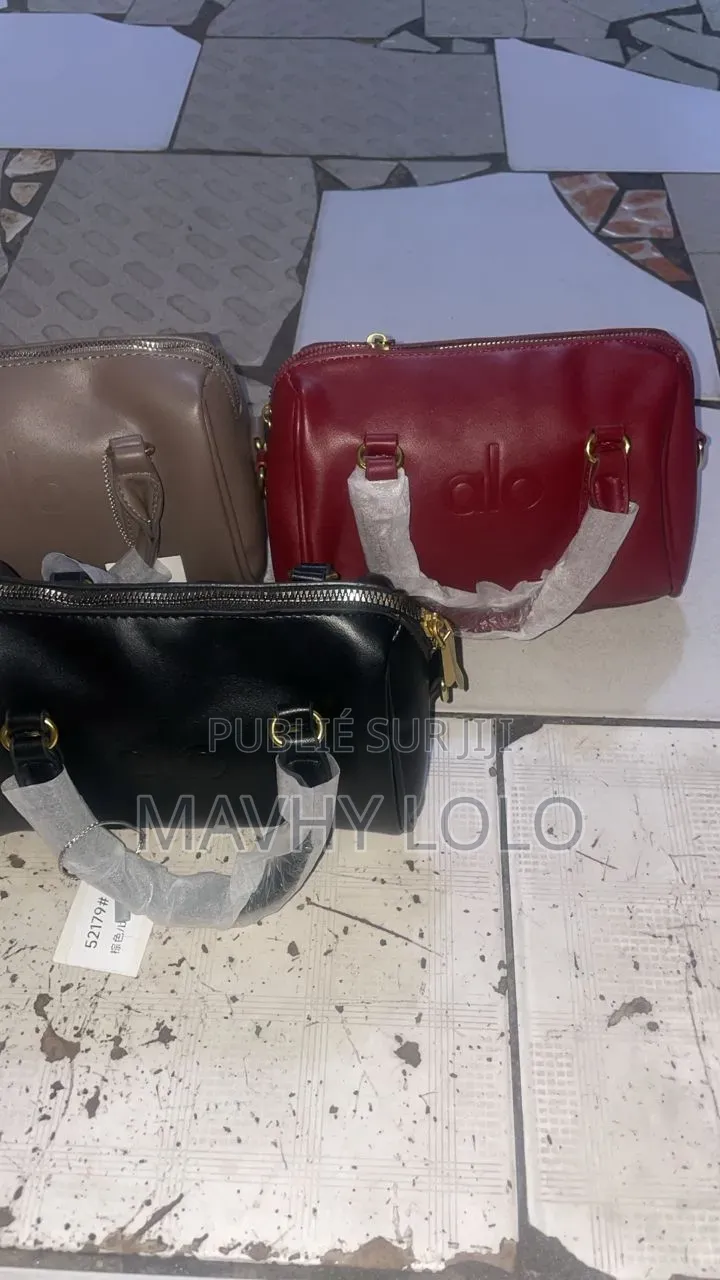 Sac Coach Et Sac Alo Et Sandalles Hermès a Vendre