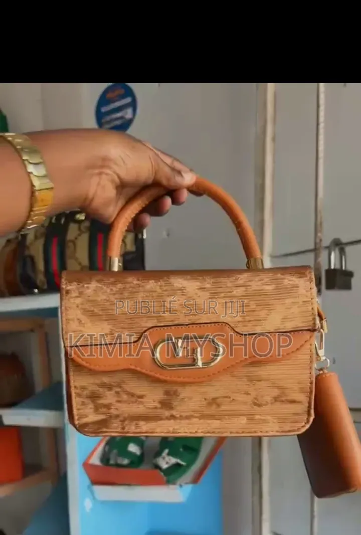 Sac De Luxe Pour Une Lady De Qualité