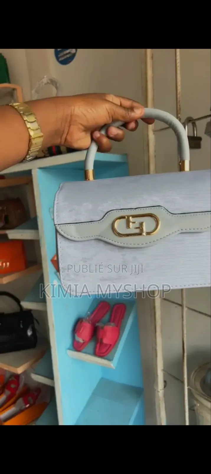 Sac De Luxe Pour Une Lady De Qualité