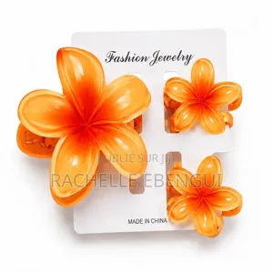 Barrette De Cheveux