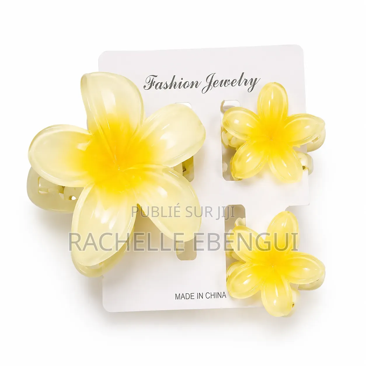 Barrette De Cheveux