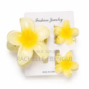 Barrette De Cheveux