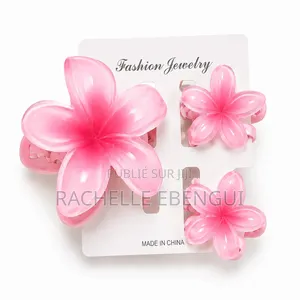 Barrette De Cheveux