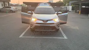 Toyota RAV4 2016 Gris