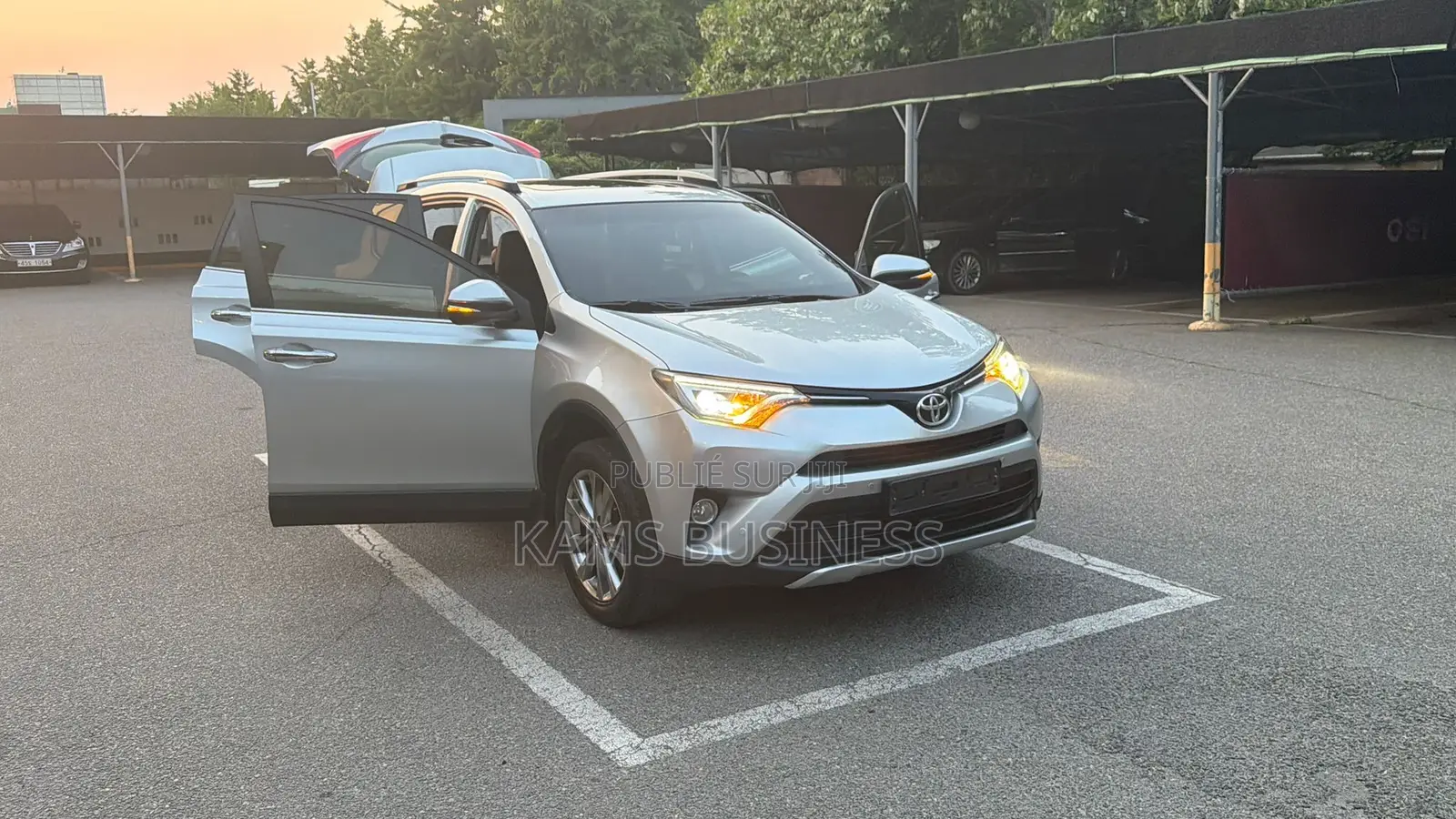 Toyota RAV4 2016 Gris