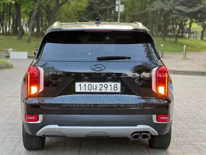 Hyundai Palissade 2020 Noir Mat