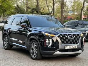Hyundai Palissade 2020 Noir Mat