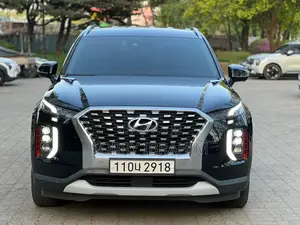 Hyundai Palissade 2020 Noir Mat