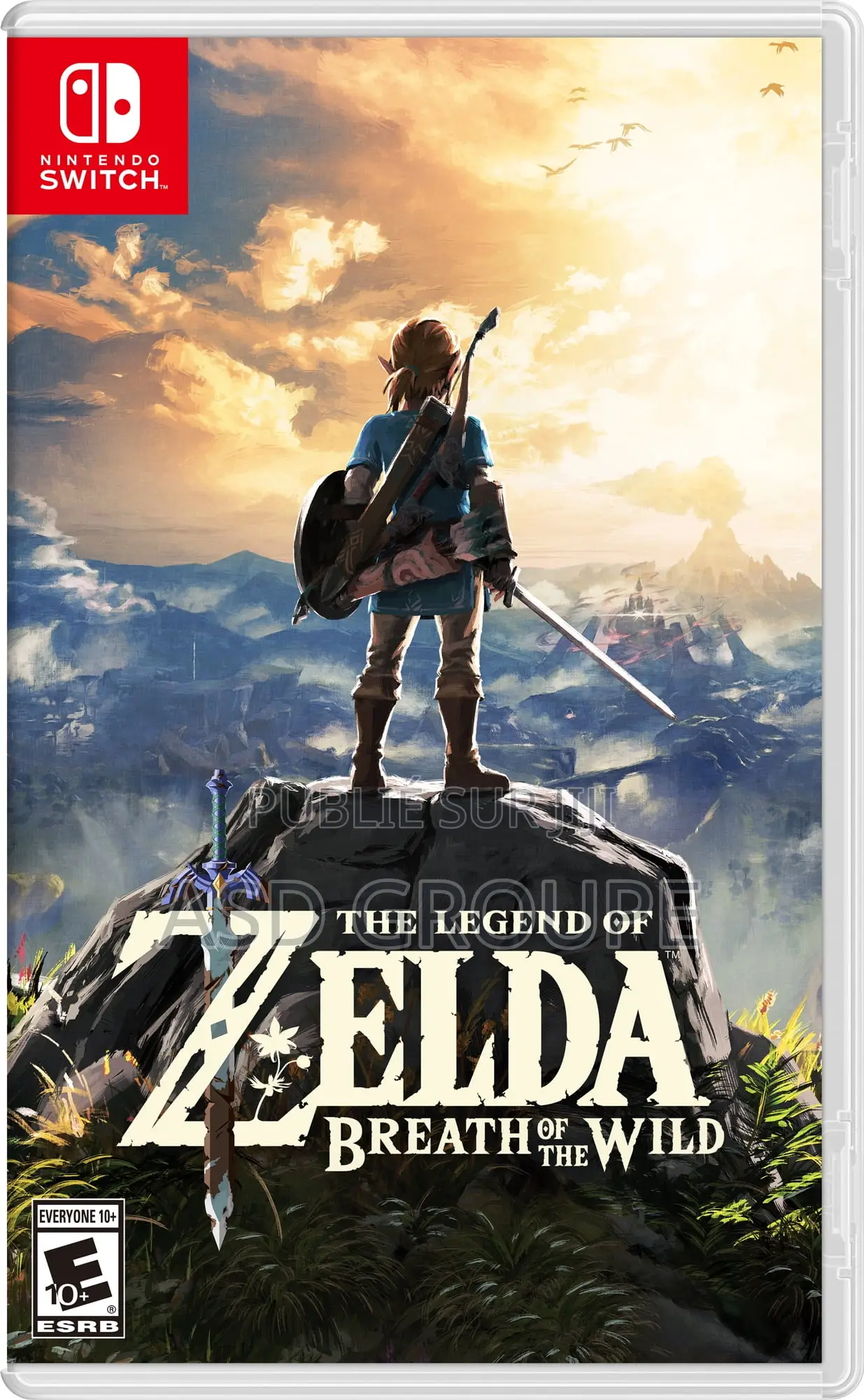 Jeux Nintendo Switch Zelda