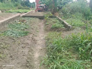 Terrain Vide À Vendre