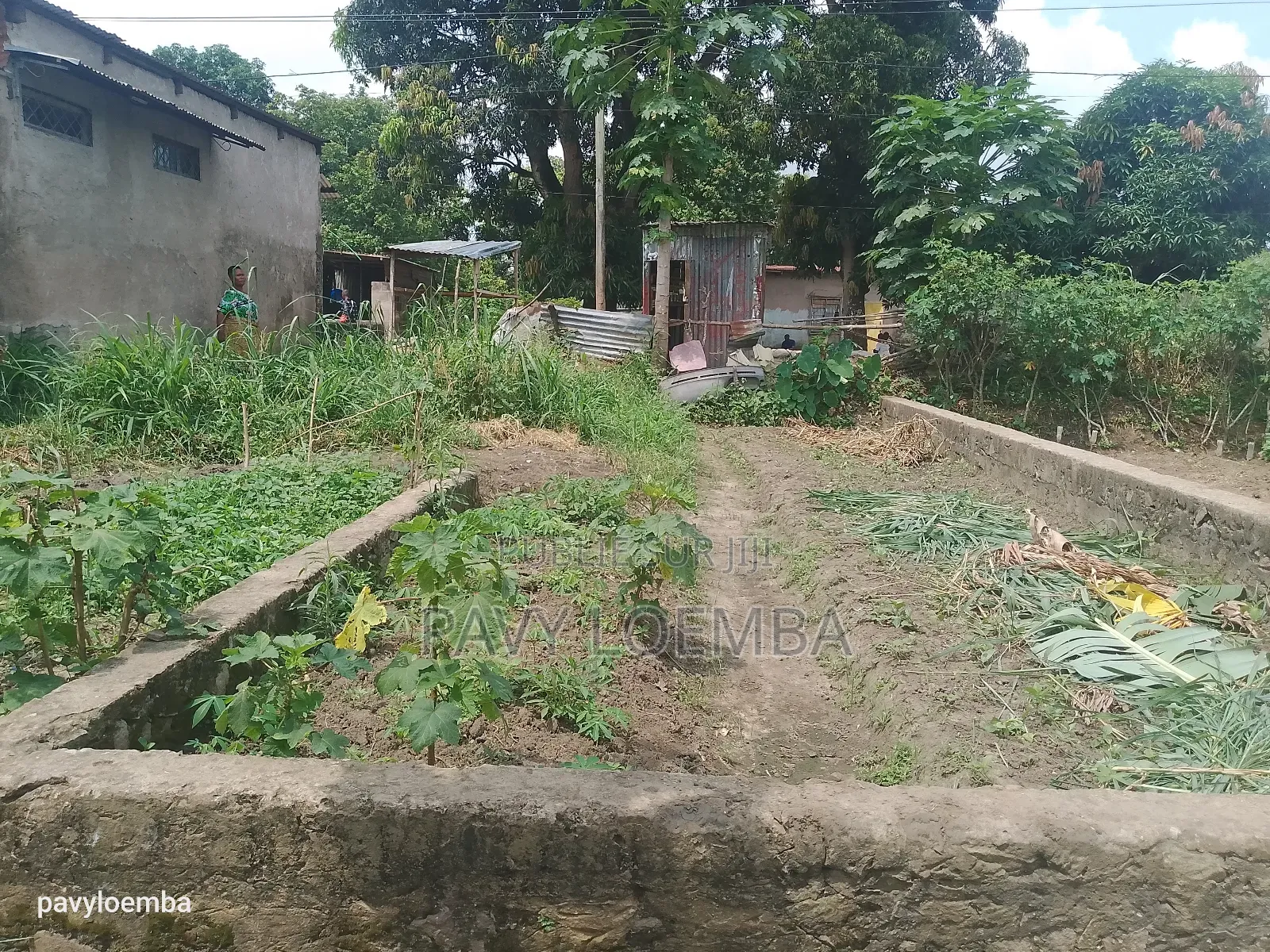 Terrain Vide À Vendre