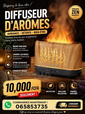 Diffuseur De Parfum Électrique