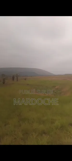 Plusieurs Terrains en Vente Au Près De Camp Koua La Koua