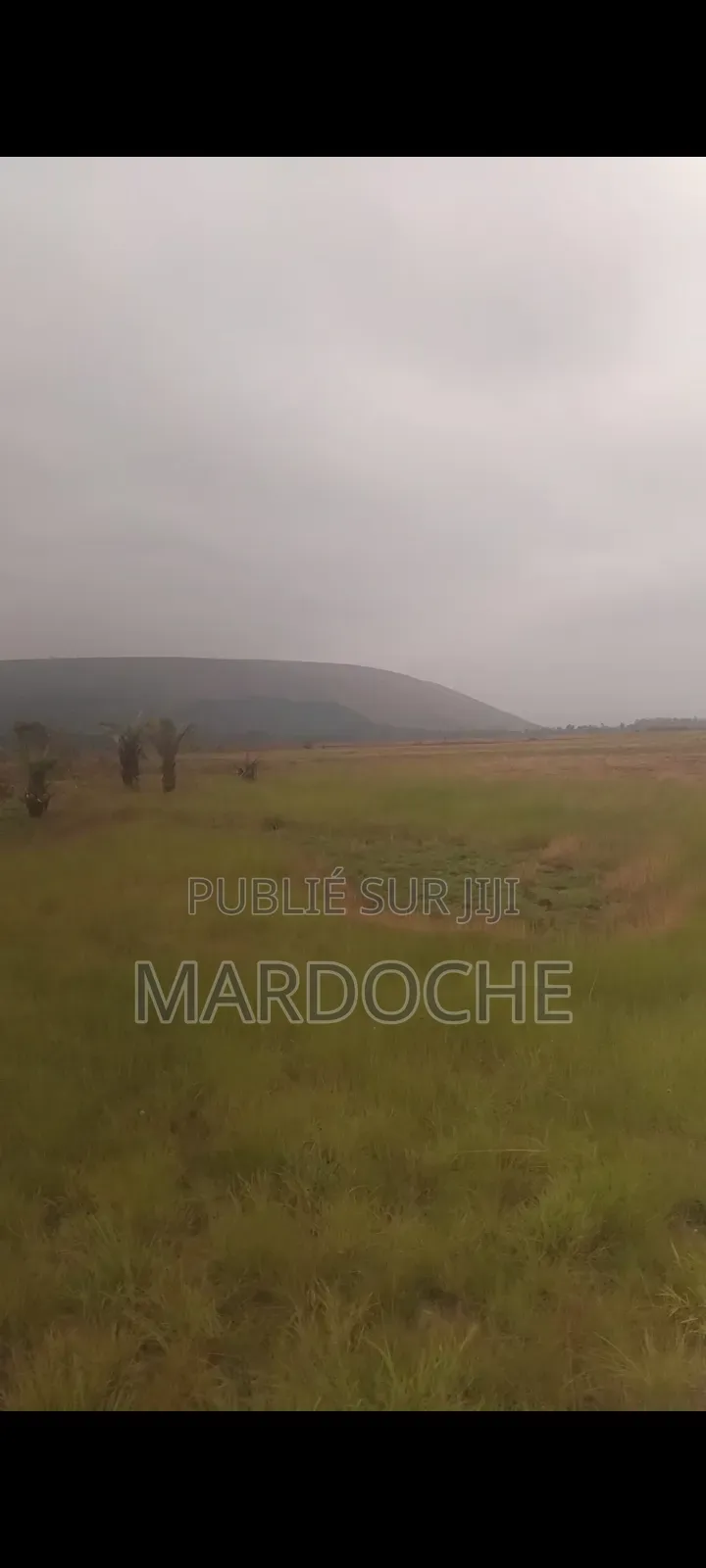 Plusieurs Terrains en Vente Au Près De Camp Militaire Koua La Koua La