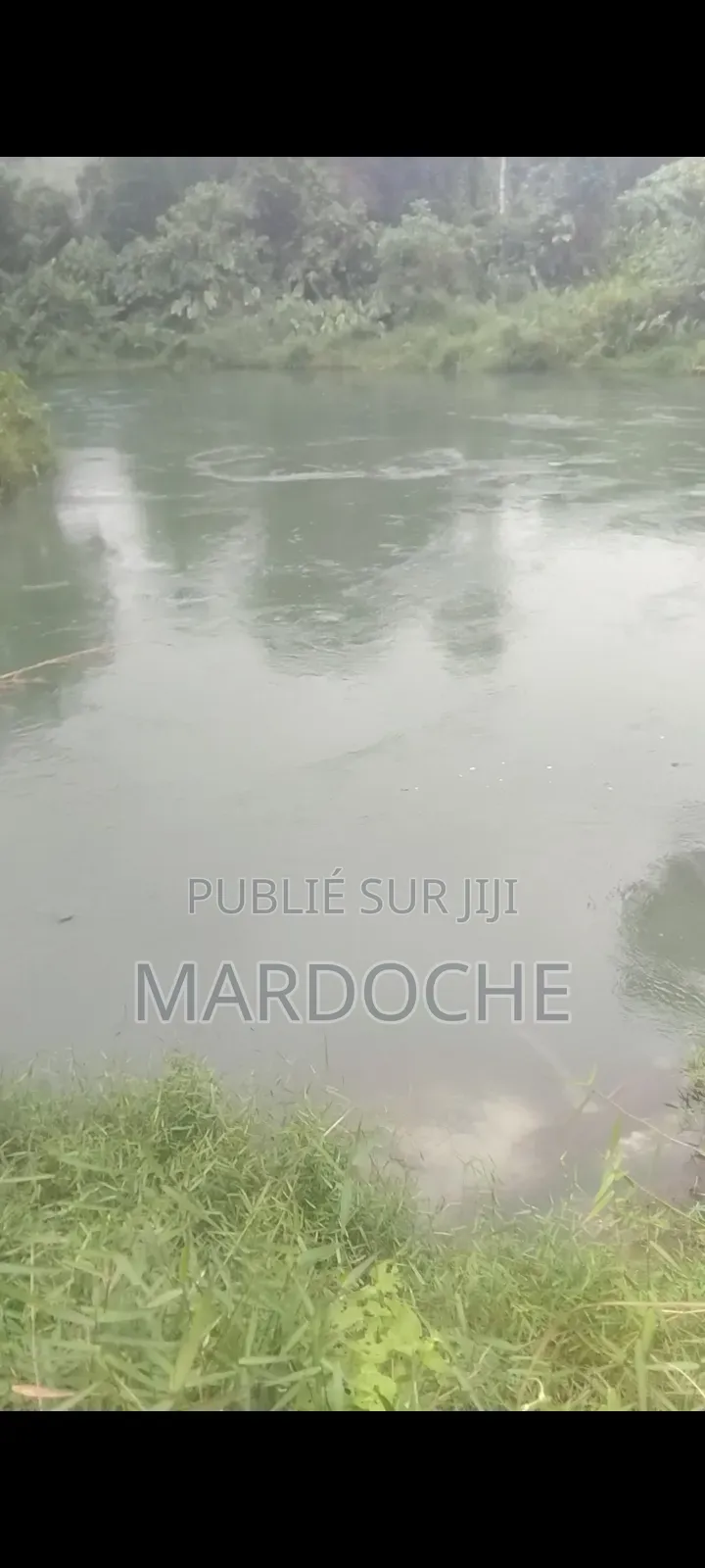 Plusieurs Terrains en Vente Au Près De Camp Militaire Koua La Koua La