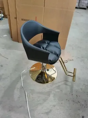 Chaise De Salon De Coiffure