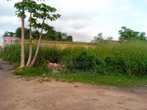 Terrain Vide À Vendre