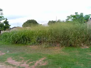 Terrain Vide À Vendre