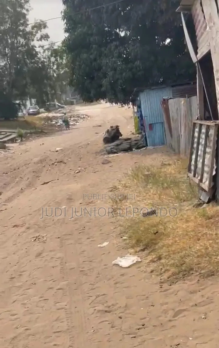 Parcelle À Vendre À Munkondo Mazala Terre Plat