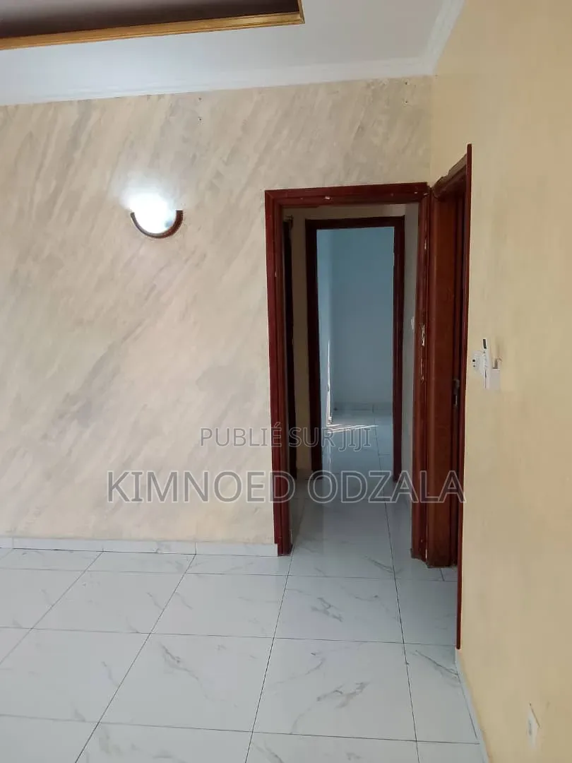 Meublé 3chbre Appartement dans Tsvh Immobilier, Moungali à Vendre