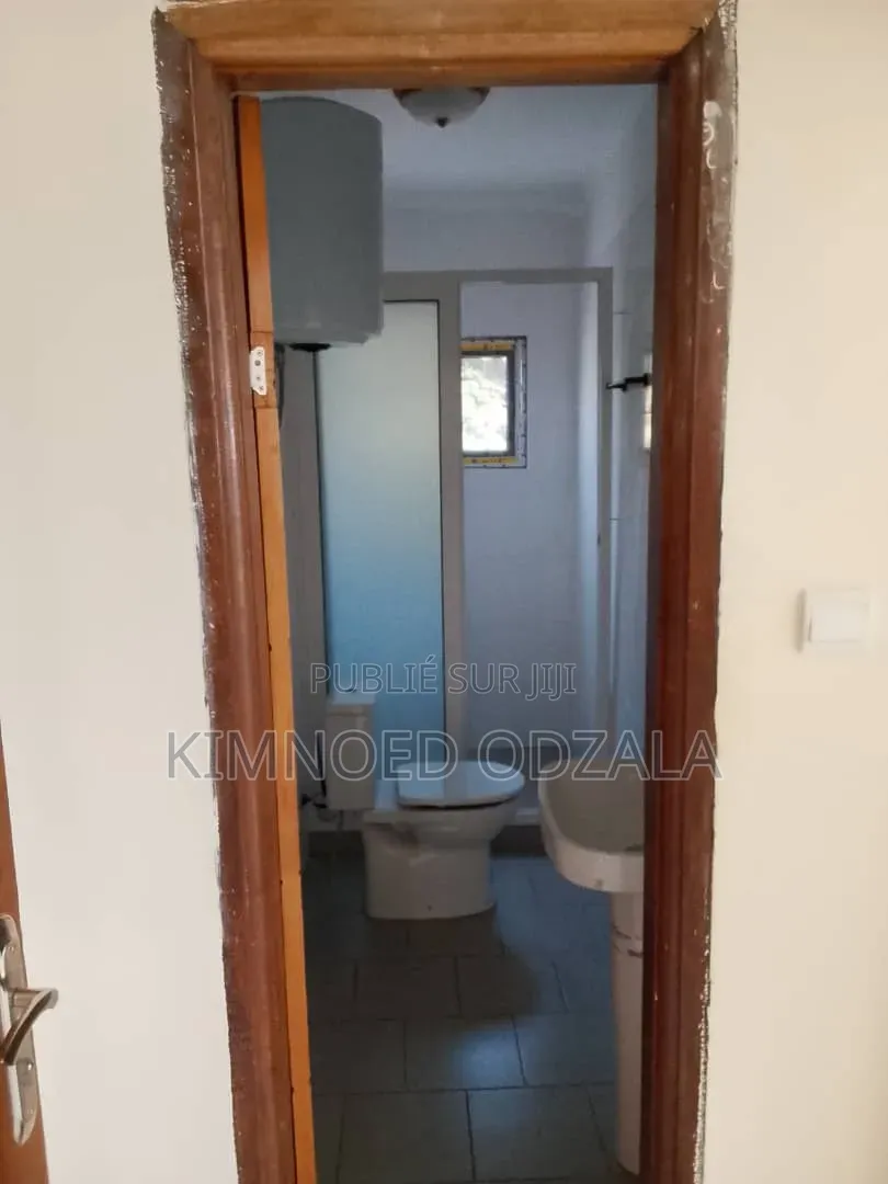 Meublé 3chbre Appartement dans Tsvh Immobilier, Moungali à Vendre