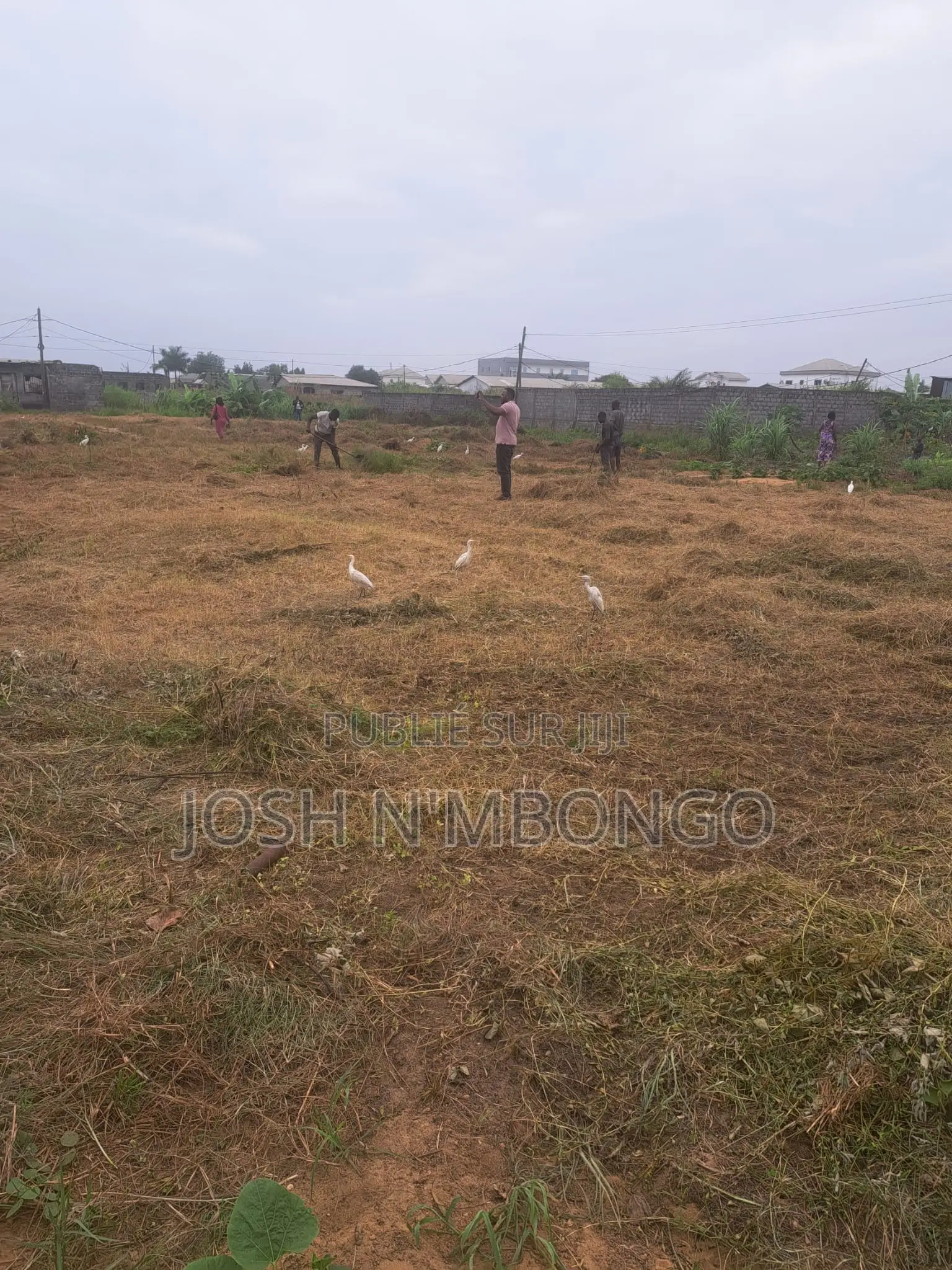 Zone ALU Congo